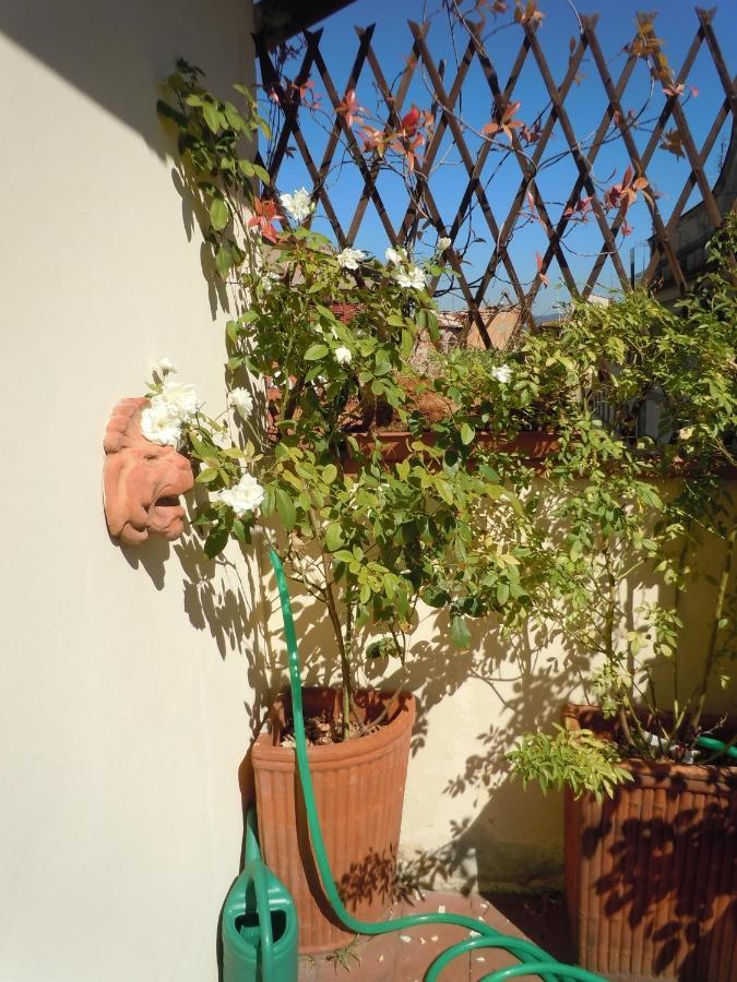 In Centre Of Florence, Balcony And Terrace With Amazing View Appartamento Firenze