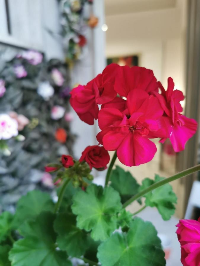 Bed & Breakfast Barbera
