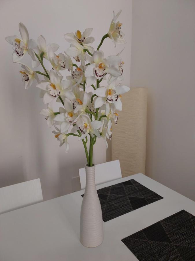 Apartment The Smart Choice Florence
