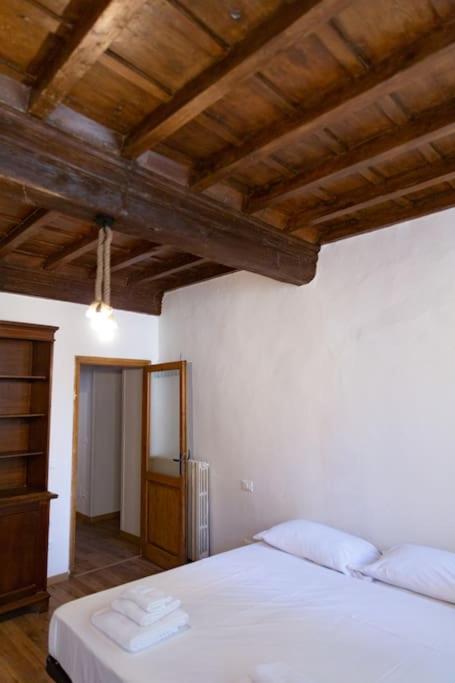Apartment Sweet Near Piazza Pitti Florence
