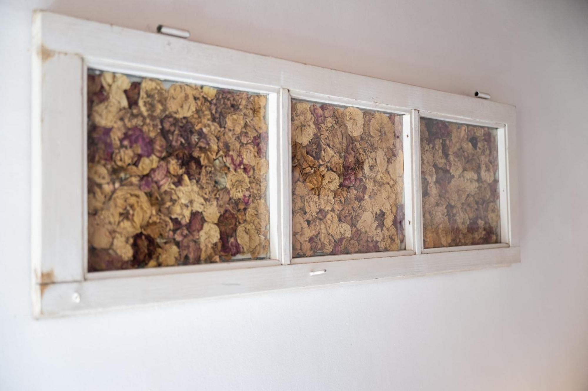 Appartamento Tipica Cozy House + Parking! Firenze