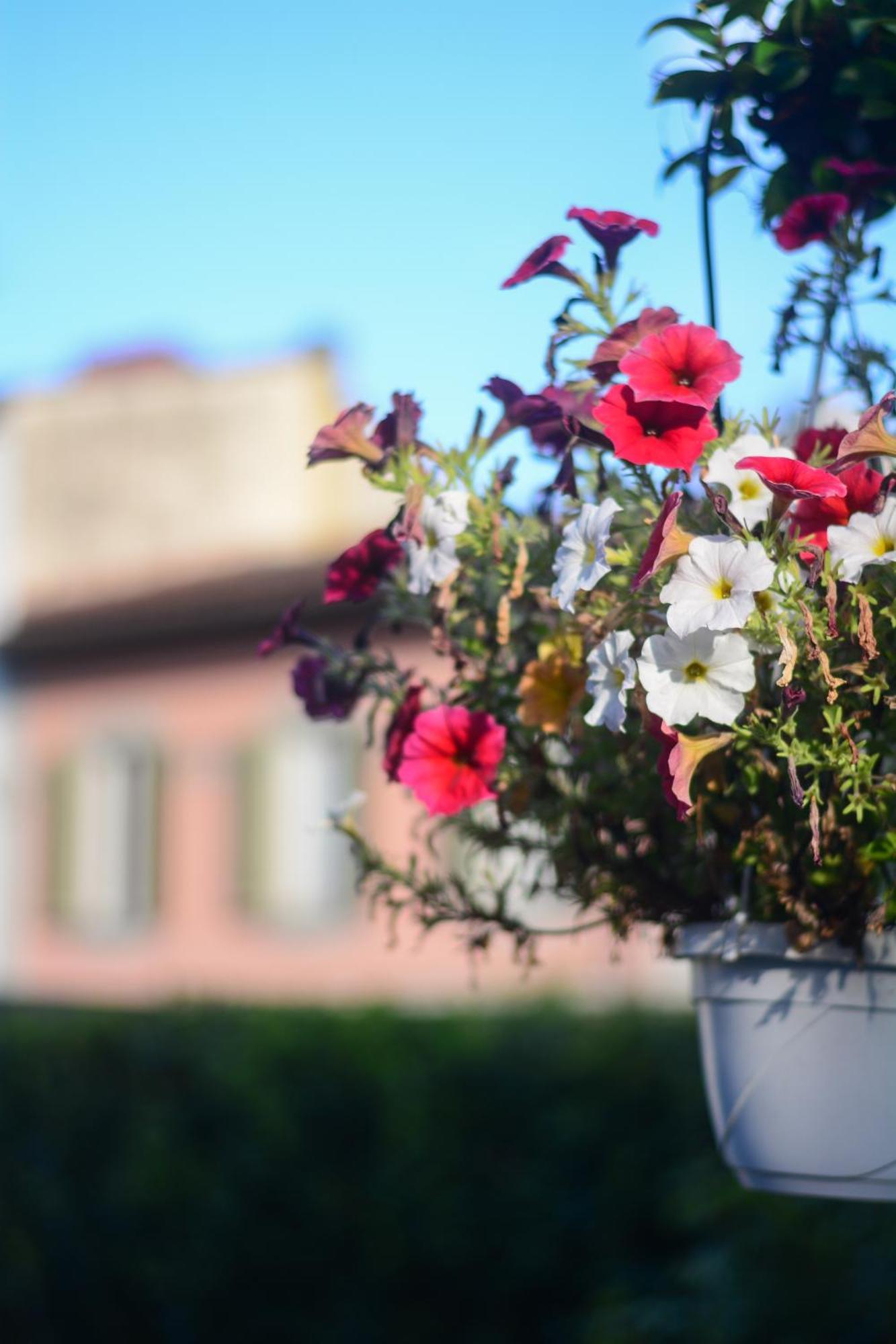 Gelsomino Garden 2* Firenze