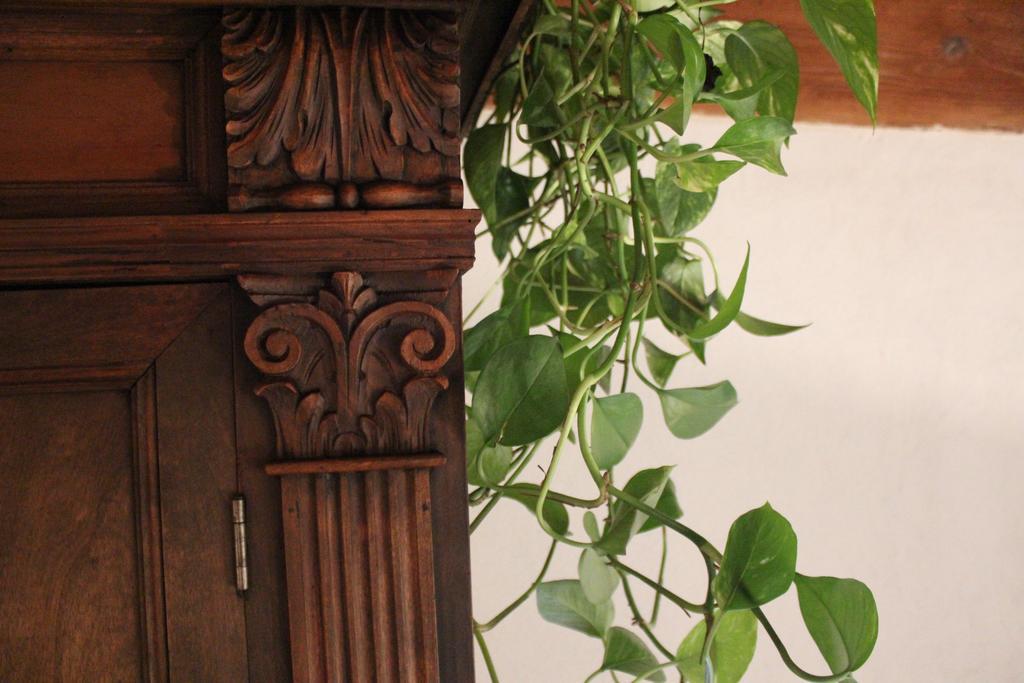 Pitti Loft Apartment *