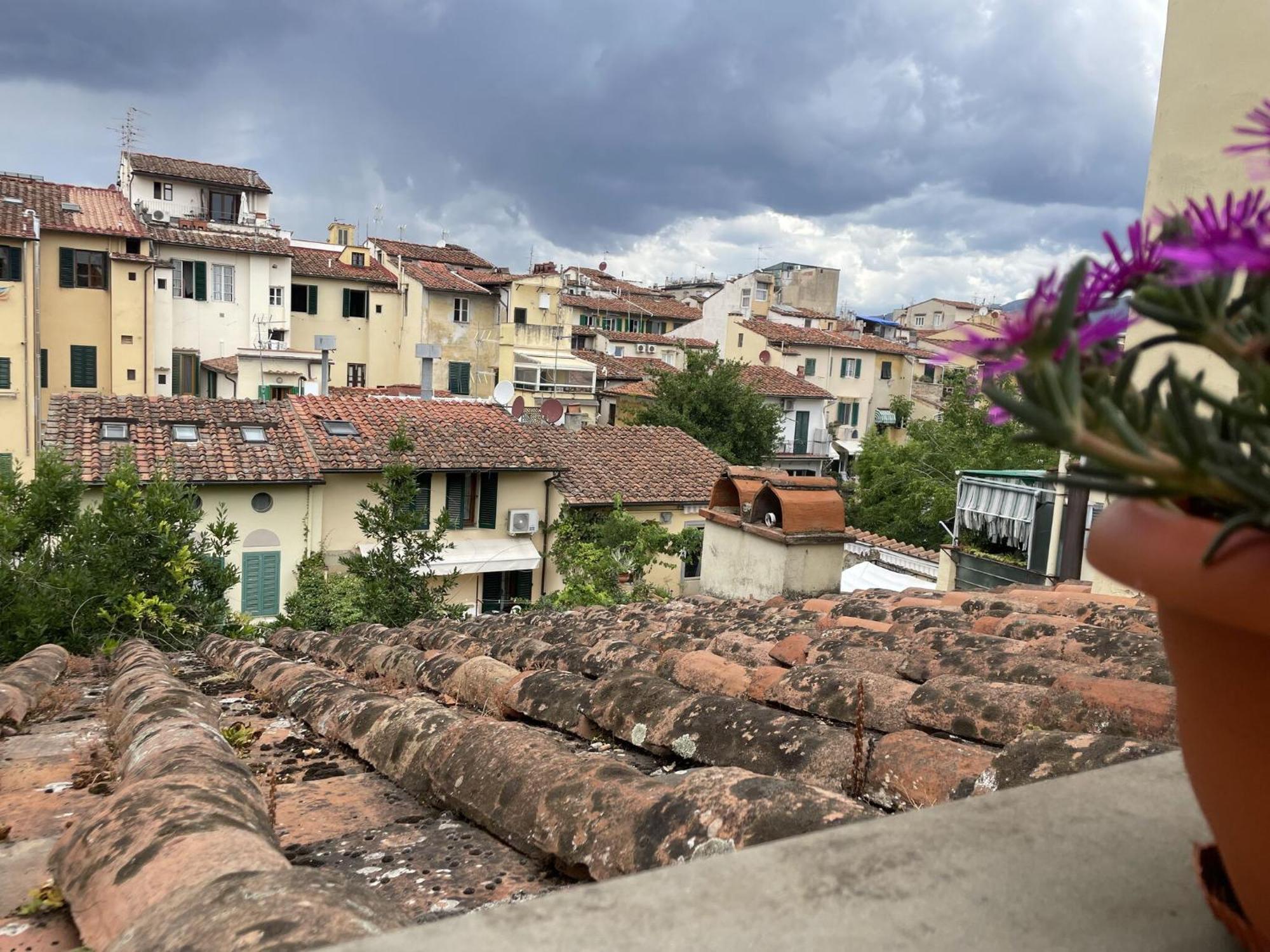 3 Terrace In * Firenze