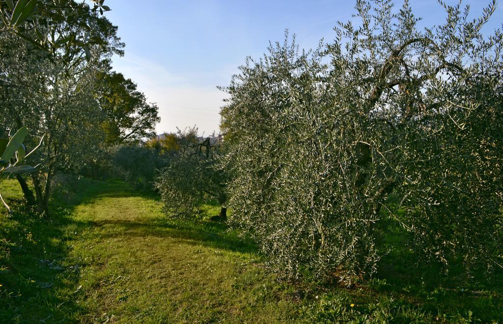 Armonie Di Incontri Bed & Breakfast Florence