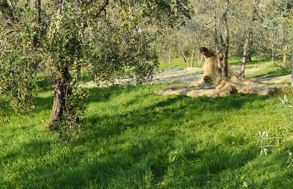 Armonie Di Incontri