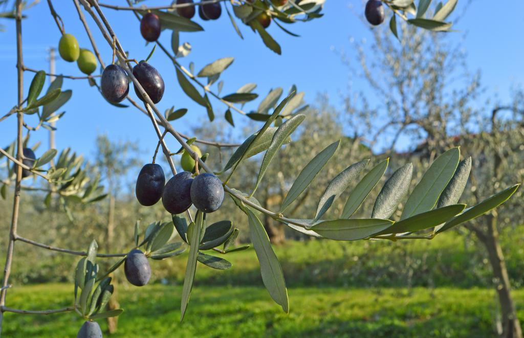 Bed & Breakfast Armonie Di Incontri