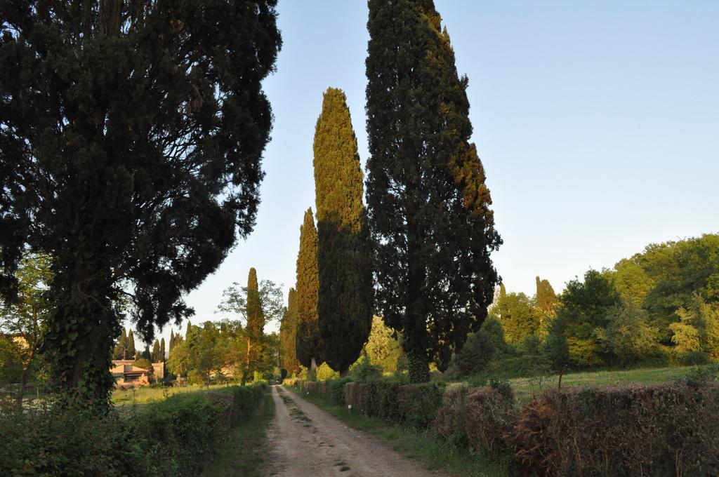 Armonie Di Incontri