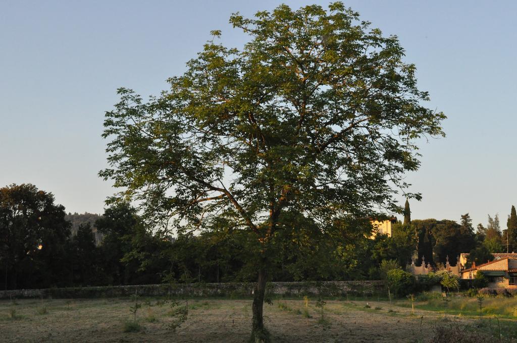 Bed & Breakfast Armonie Di Incontri 3*