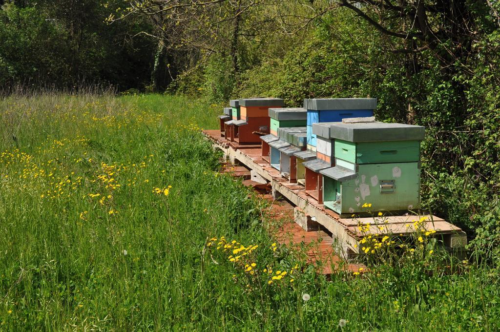 Bed & Breakfast Armonie Di Incontri 3*