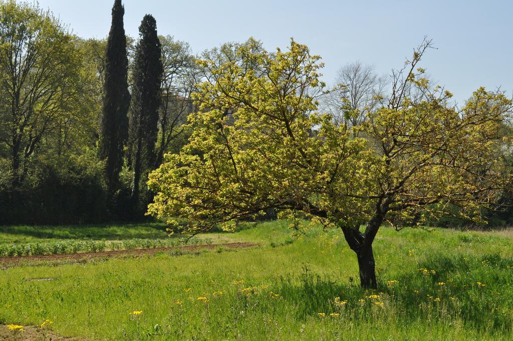 Bed & Breakfast Armonie Di Incontri