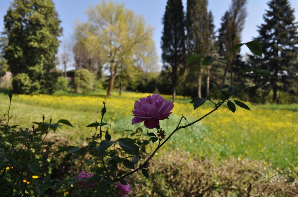Armonie Di Incontri Bed & Breakfast