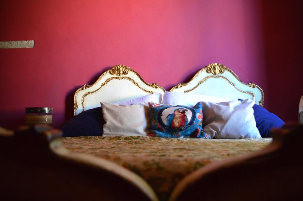 Dimora Fiorentina Pitti Atelier Apartment Florence