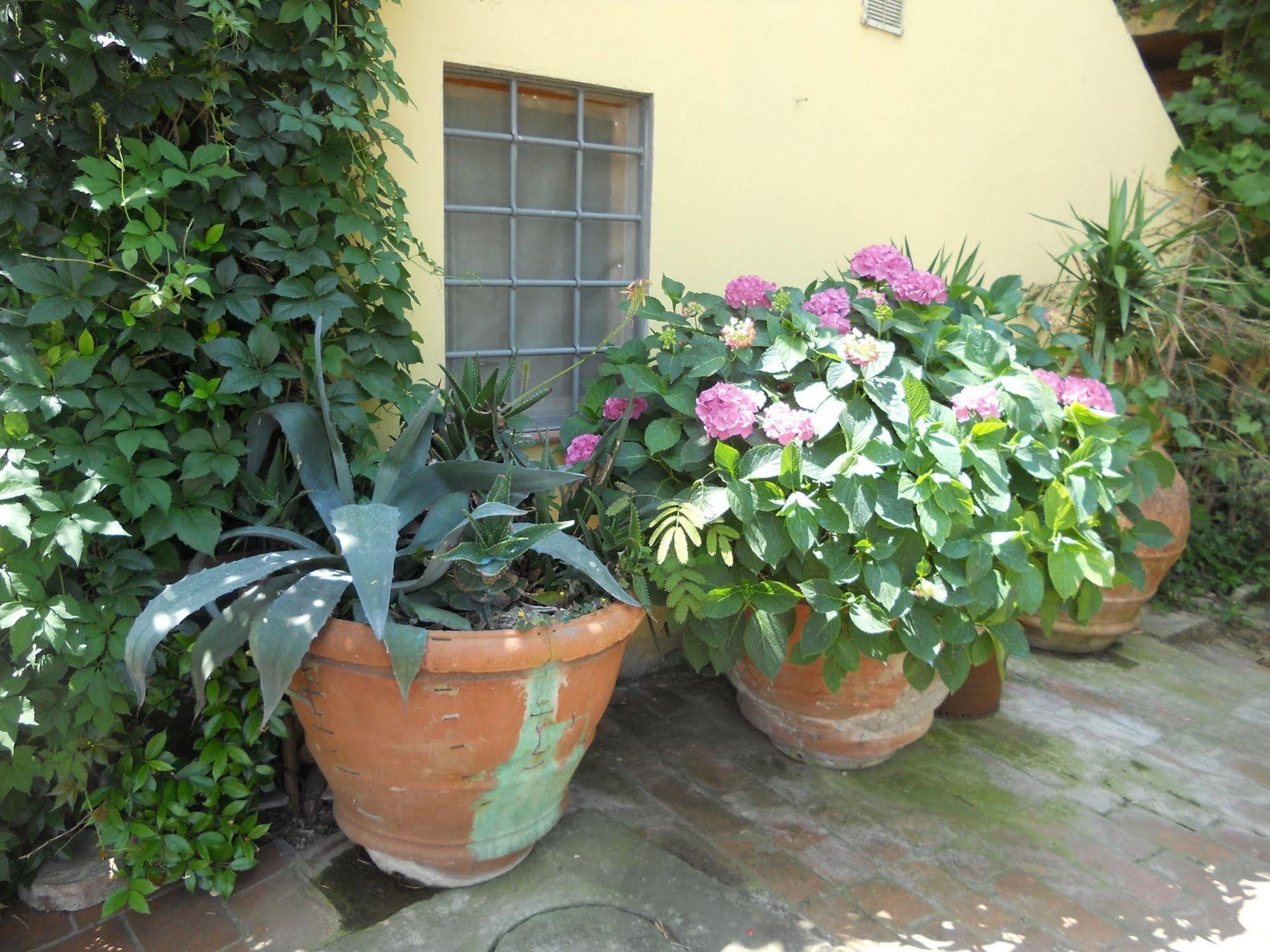 Farm stay Le Macine Florence