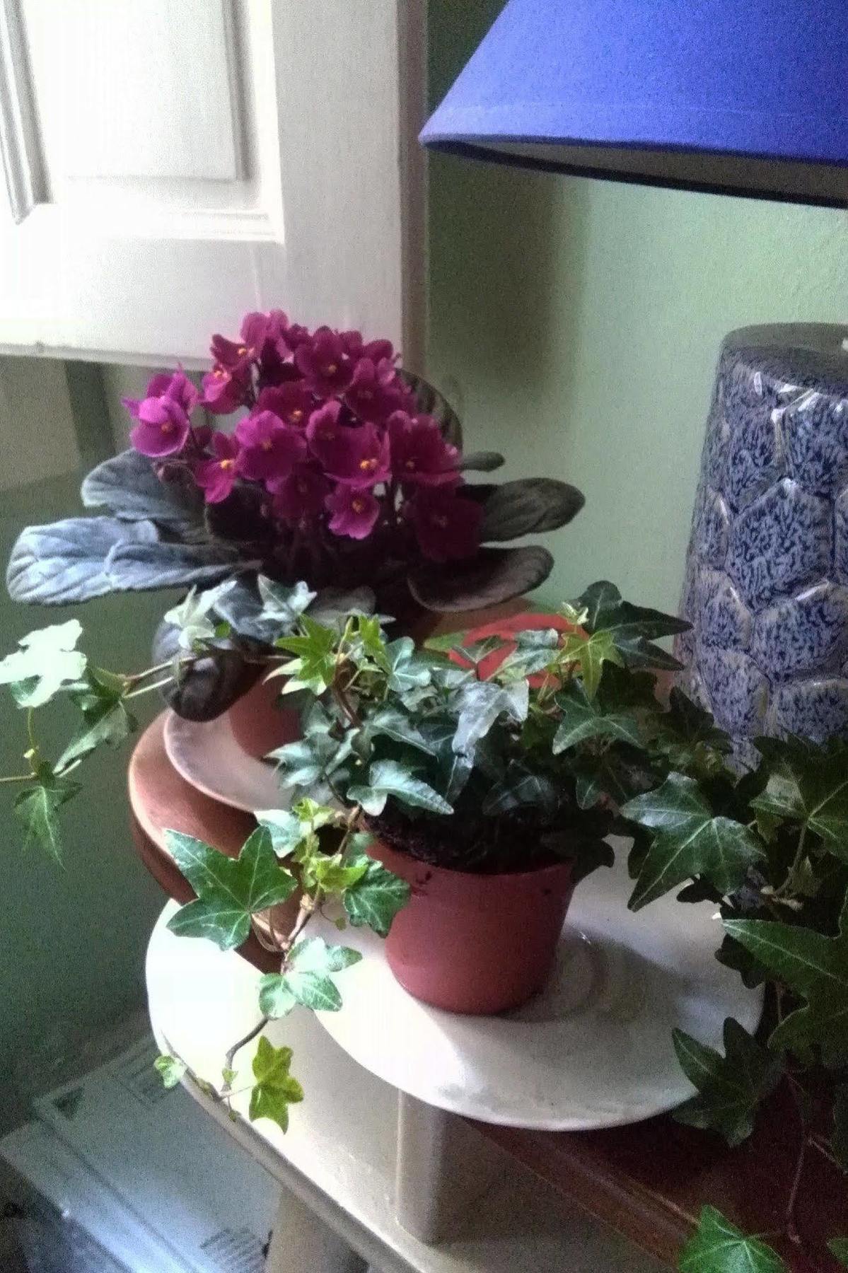 A Casa Di Virgilio Guest house Florence