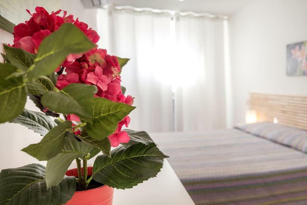 Da Giosue Guest house