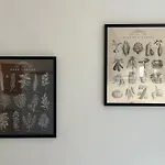Leonardo Da Vinci - Casa Babette