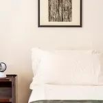 Vecchia Volta New