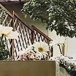 Movie Star Apartment With Garden