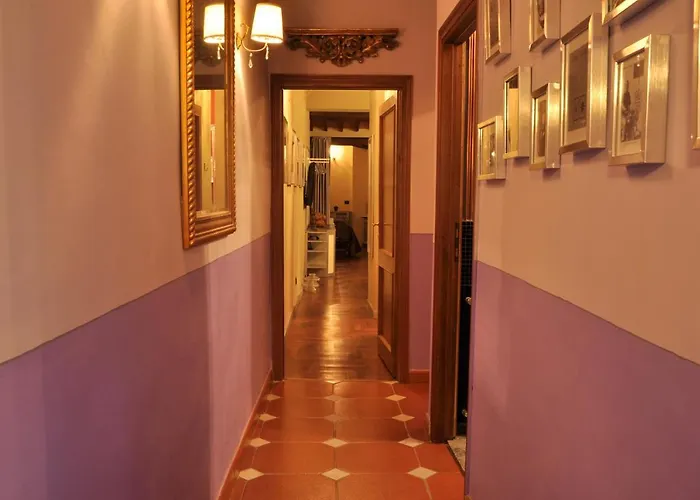 The Black Sheep B&B