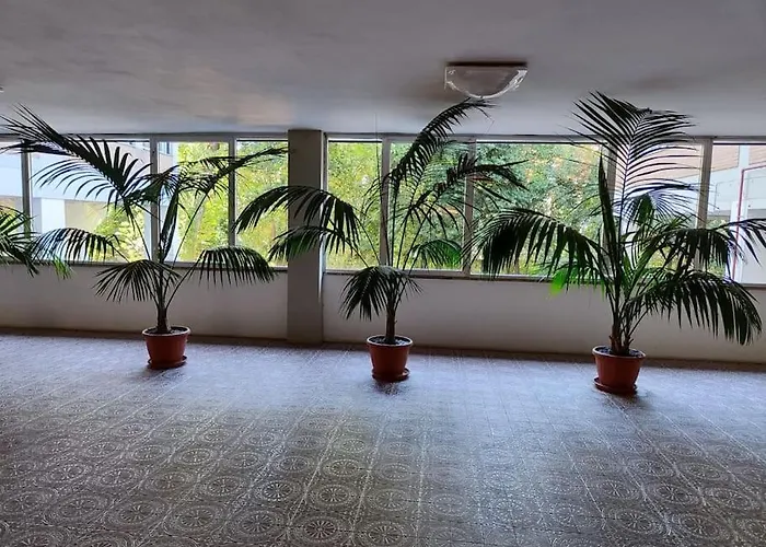 San Donato Apartment