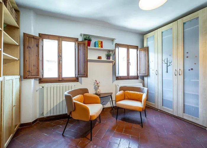 Roommo Viola