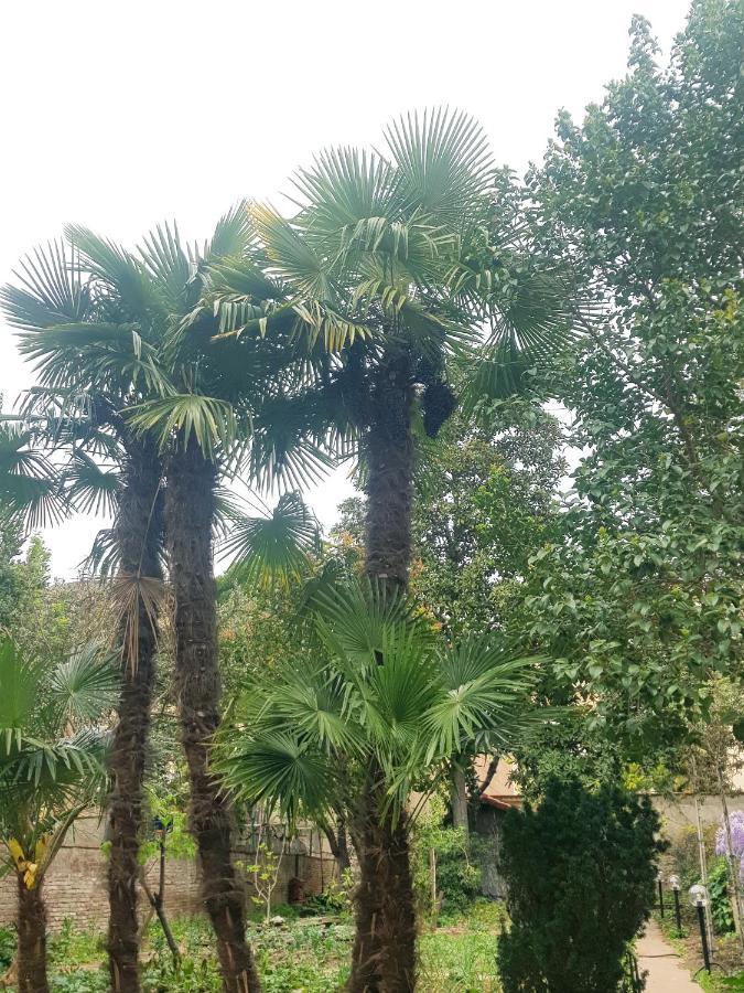 Residenza I Marchesi Affittacamere