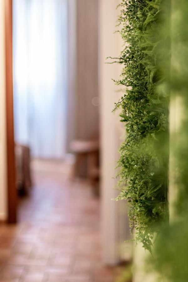 Wine Ansonica Holiday home Florence