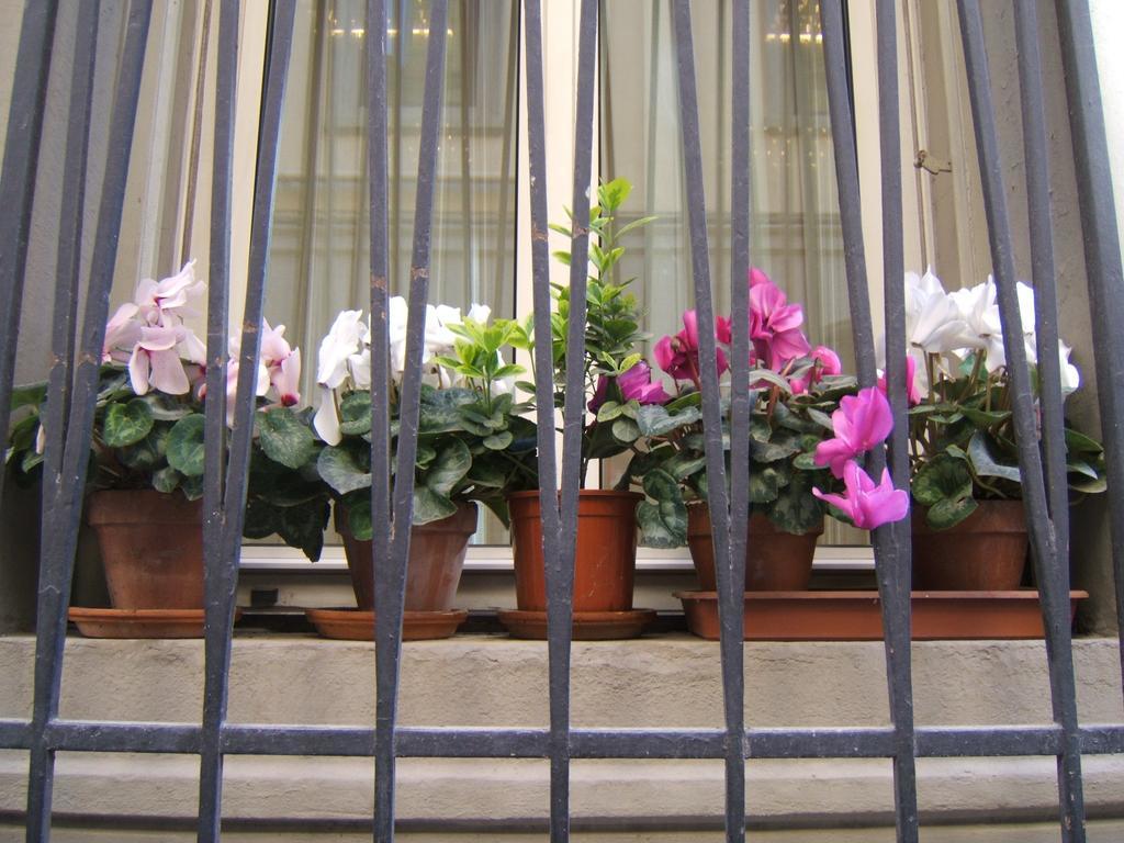 Nuova Italia Hotel 2*