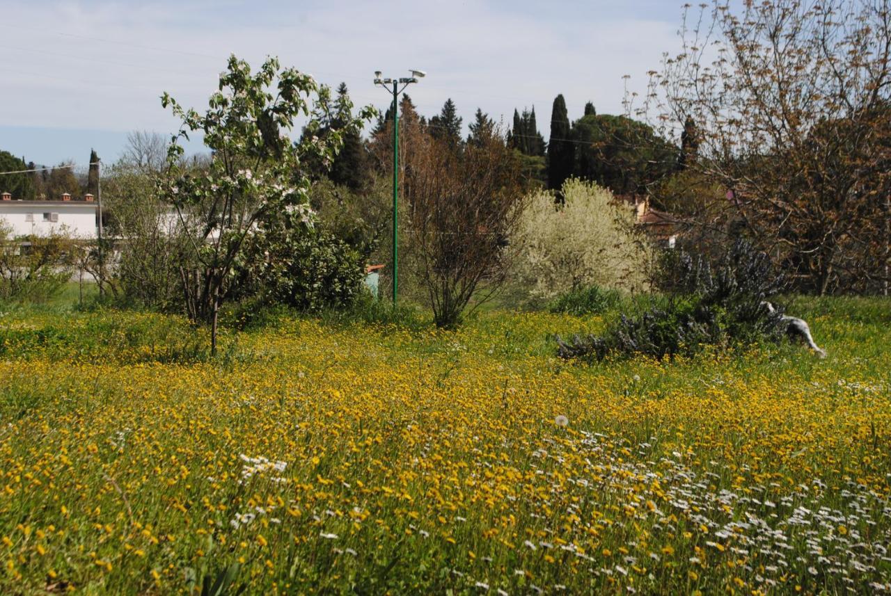 Fattoria Di Malavolta Firenze