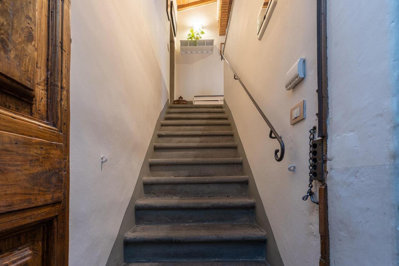 San Zanobi Nest In Florence