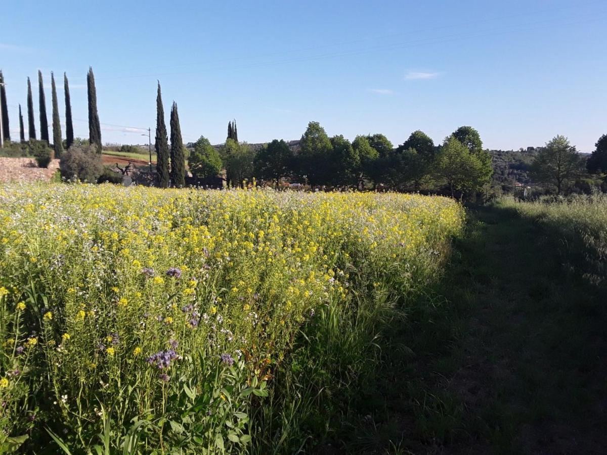 Fattoria Di Malavolta Appartamento