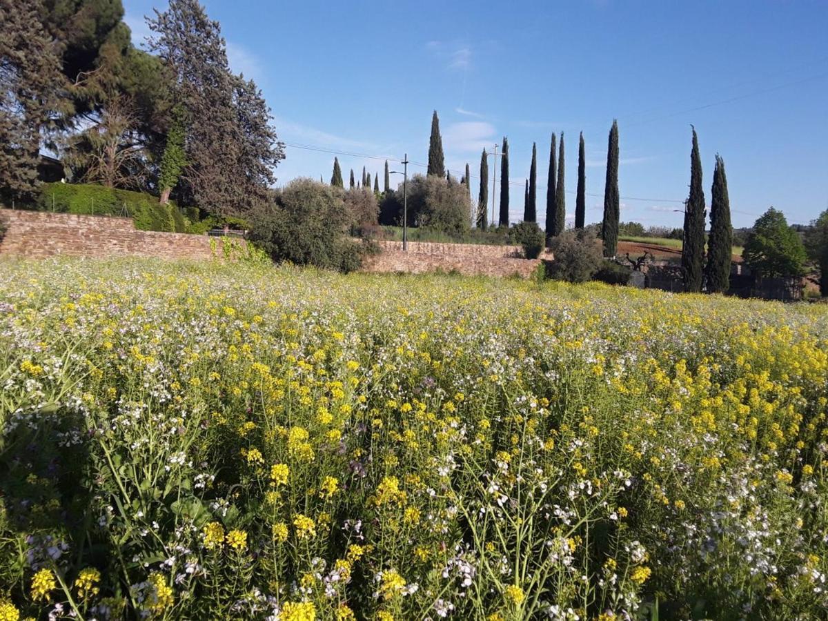 Appartamento Fattoria Di Malavolta