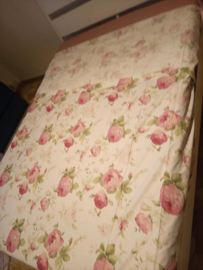 Casa Vacanze Giulia A Careggi Wi-fi Apartment Florence