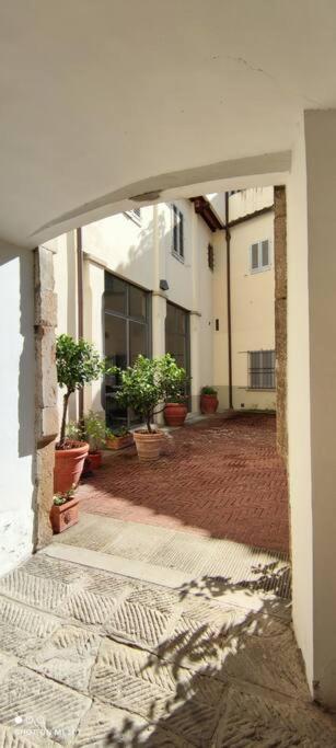Apartment Ghibellina *