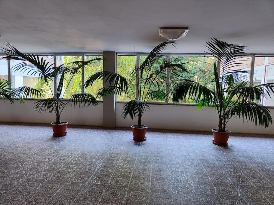 Apartment San Donato *