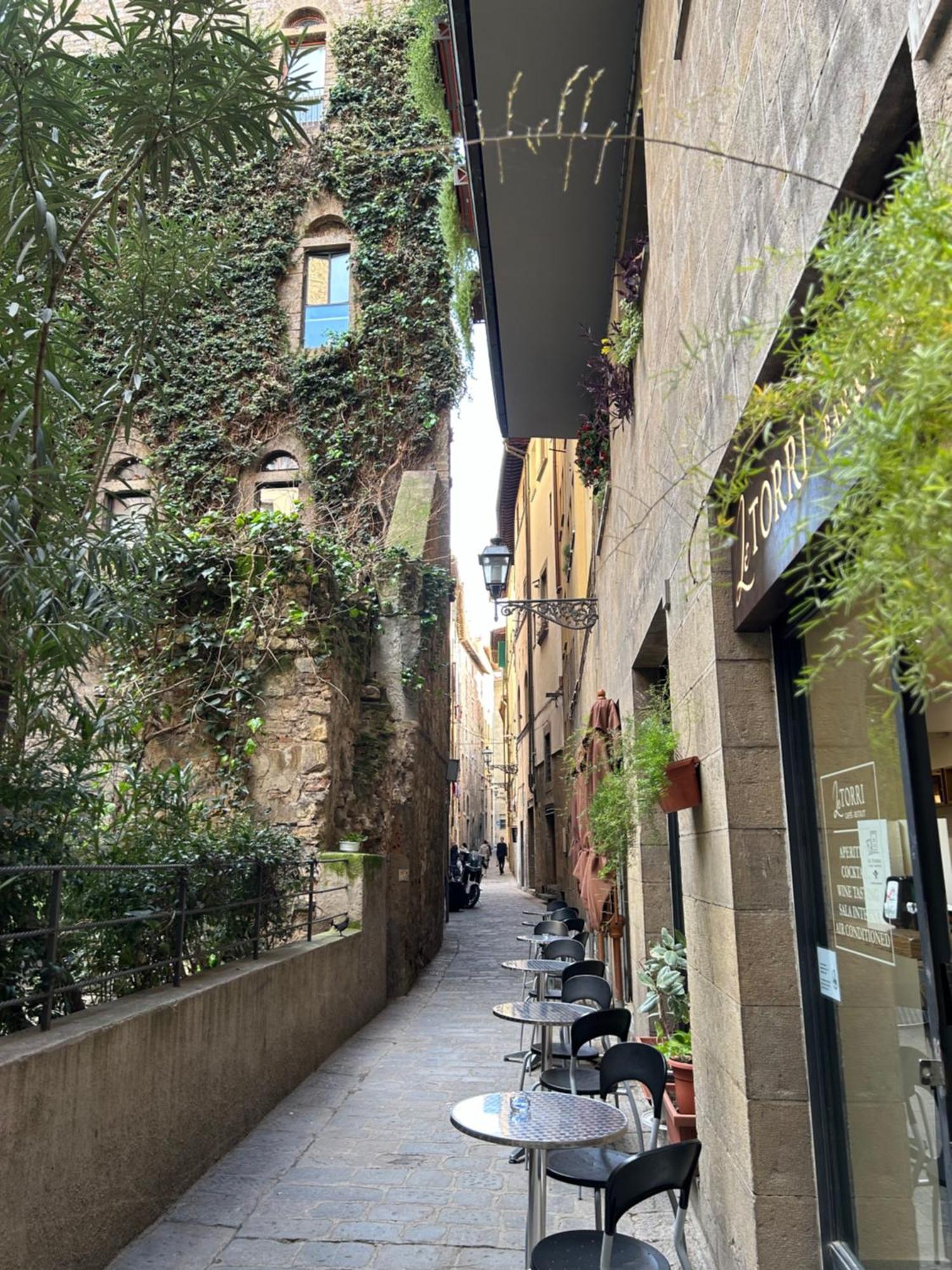 Apartment Borgo San Jacopo 8