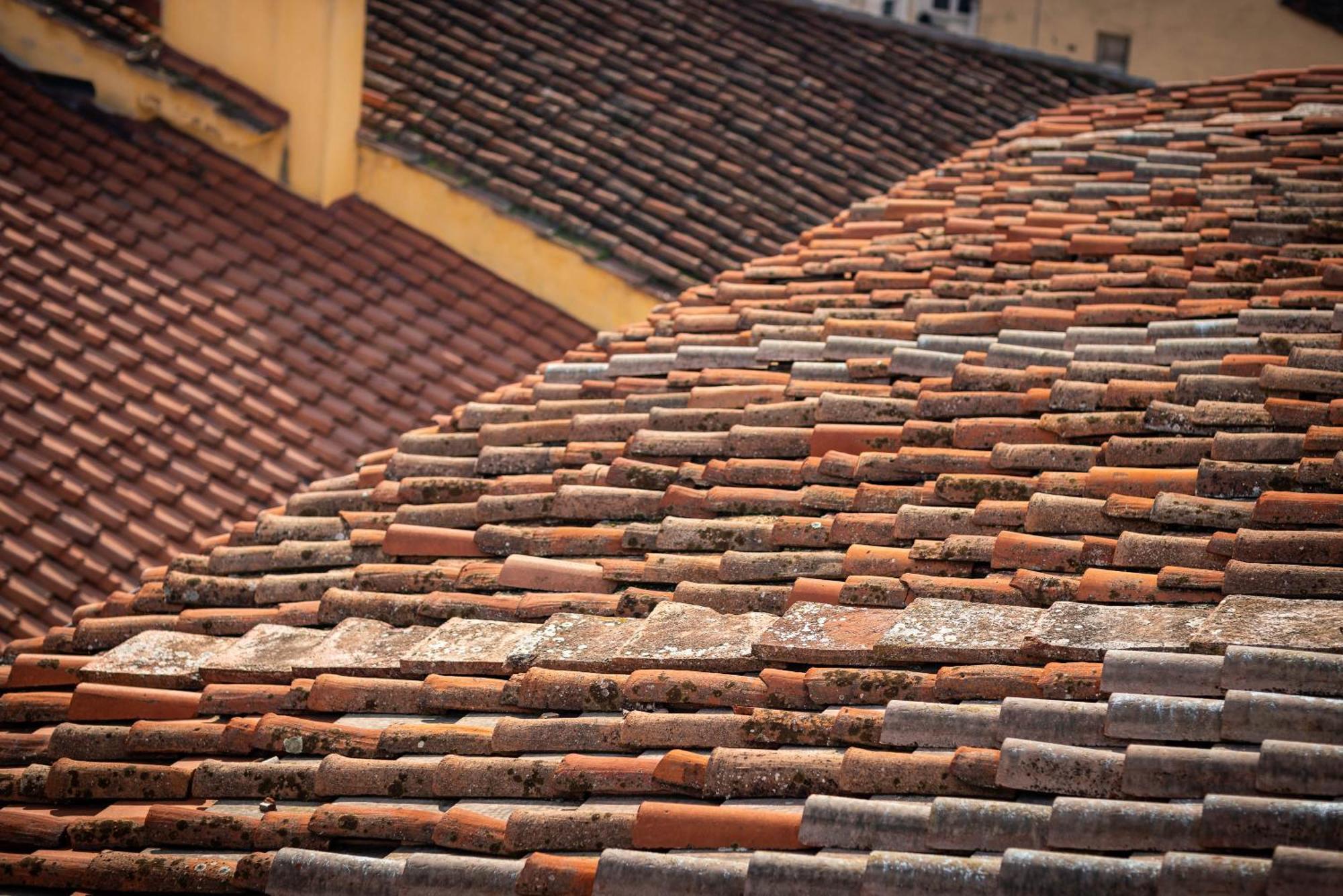 Novella House Florence