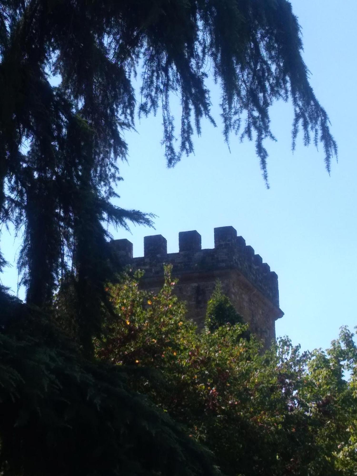 Movie Star With Garden Apartment Florence