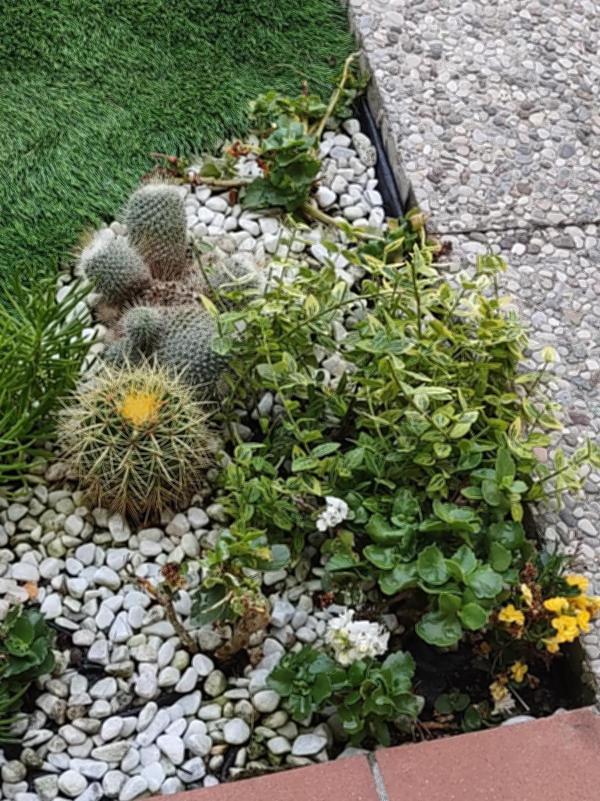 Apartment Movie Star With Garden Florence