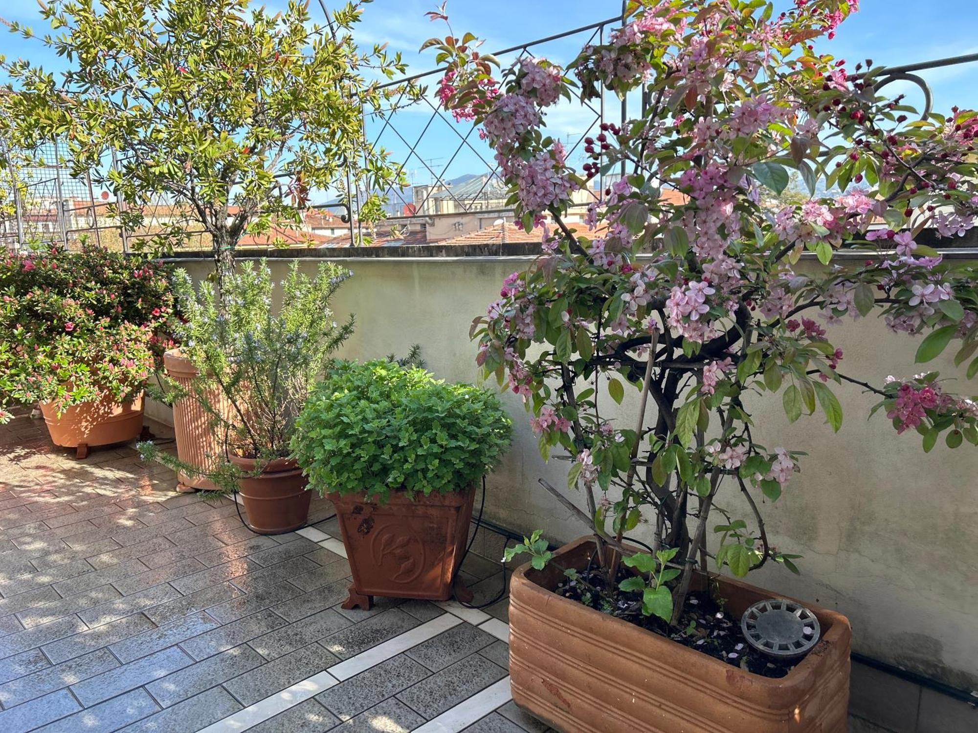 Cherubini Apartment Florence