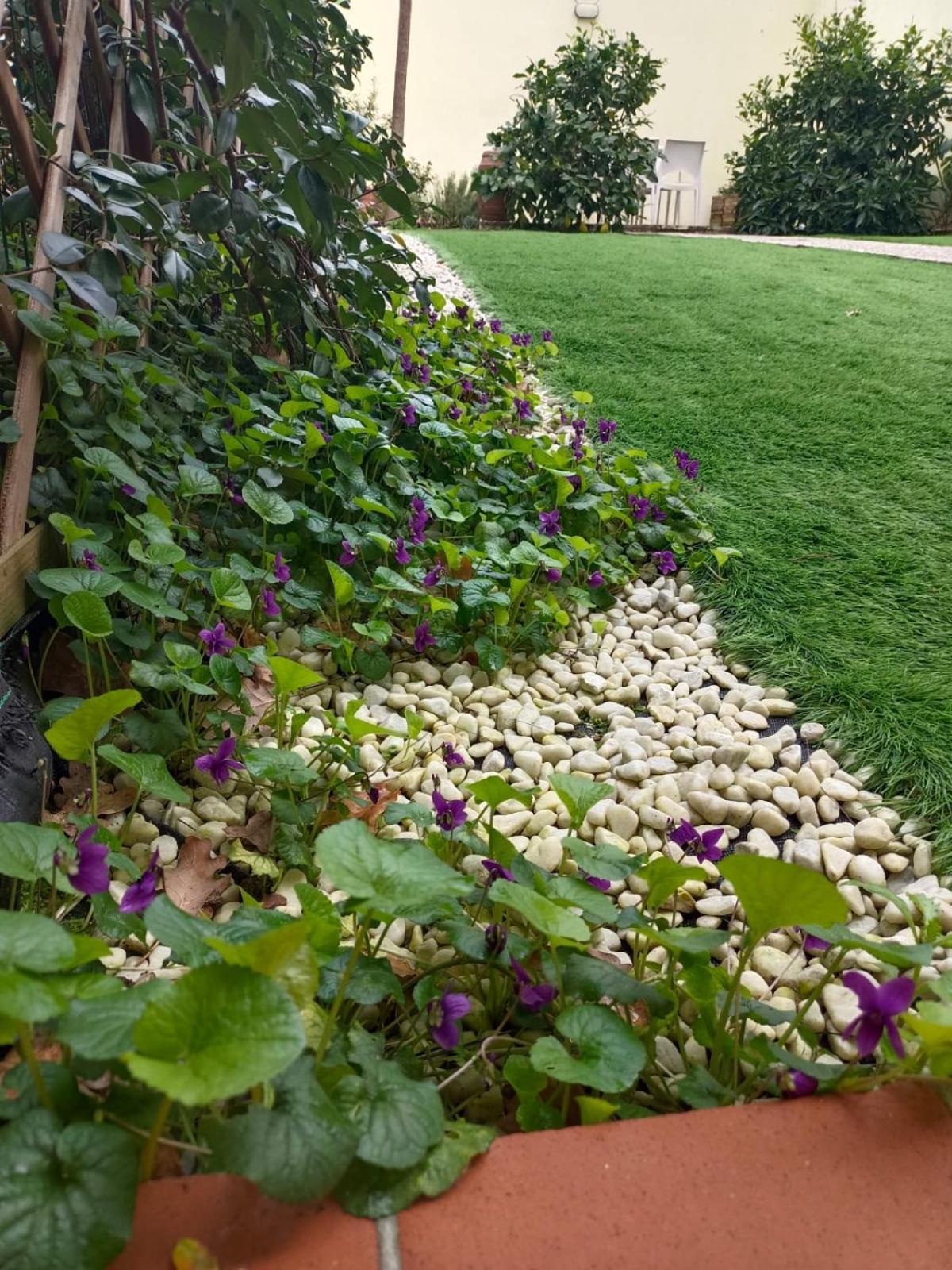Movie Star With Garden *