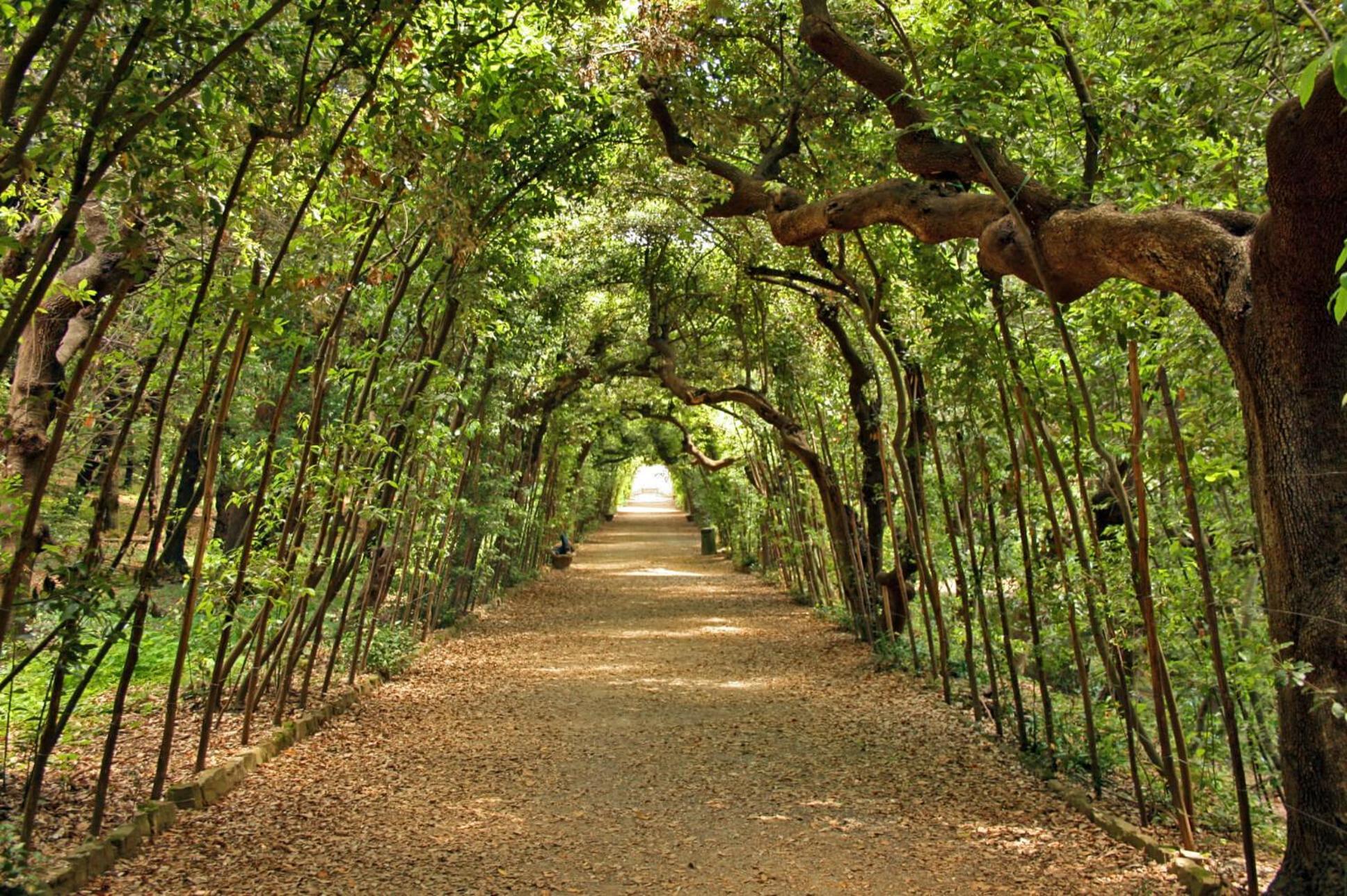 Boboli Terrace - Flo * Florence