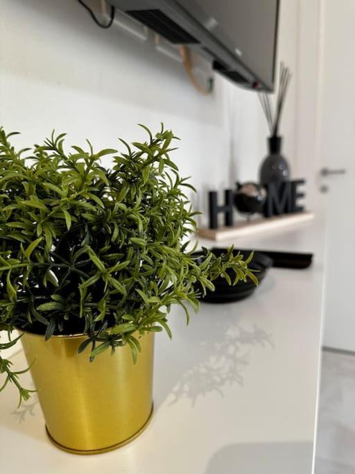 Appartamento Nencionihouse- Modern Comfort Close To Center Firenze