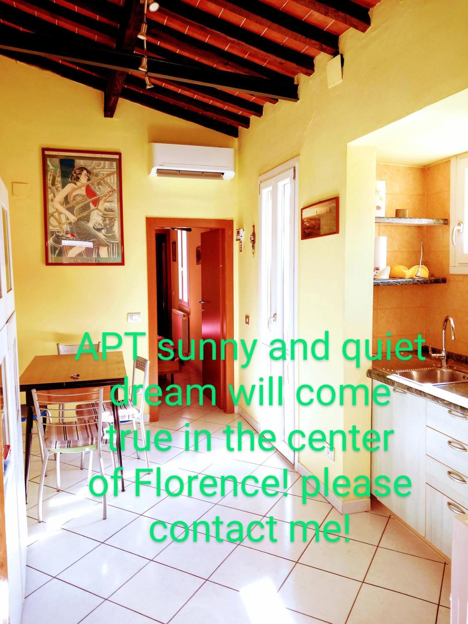 Bright, Quiet! In The Center. Appartamento Firenze