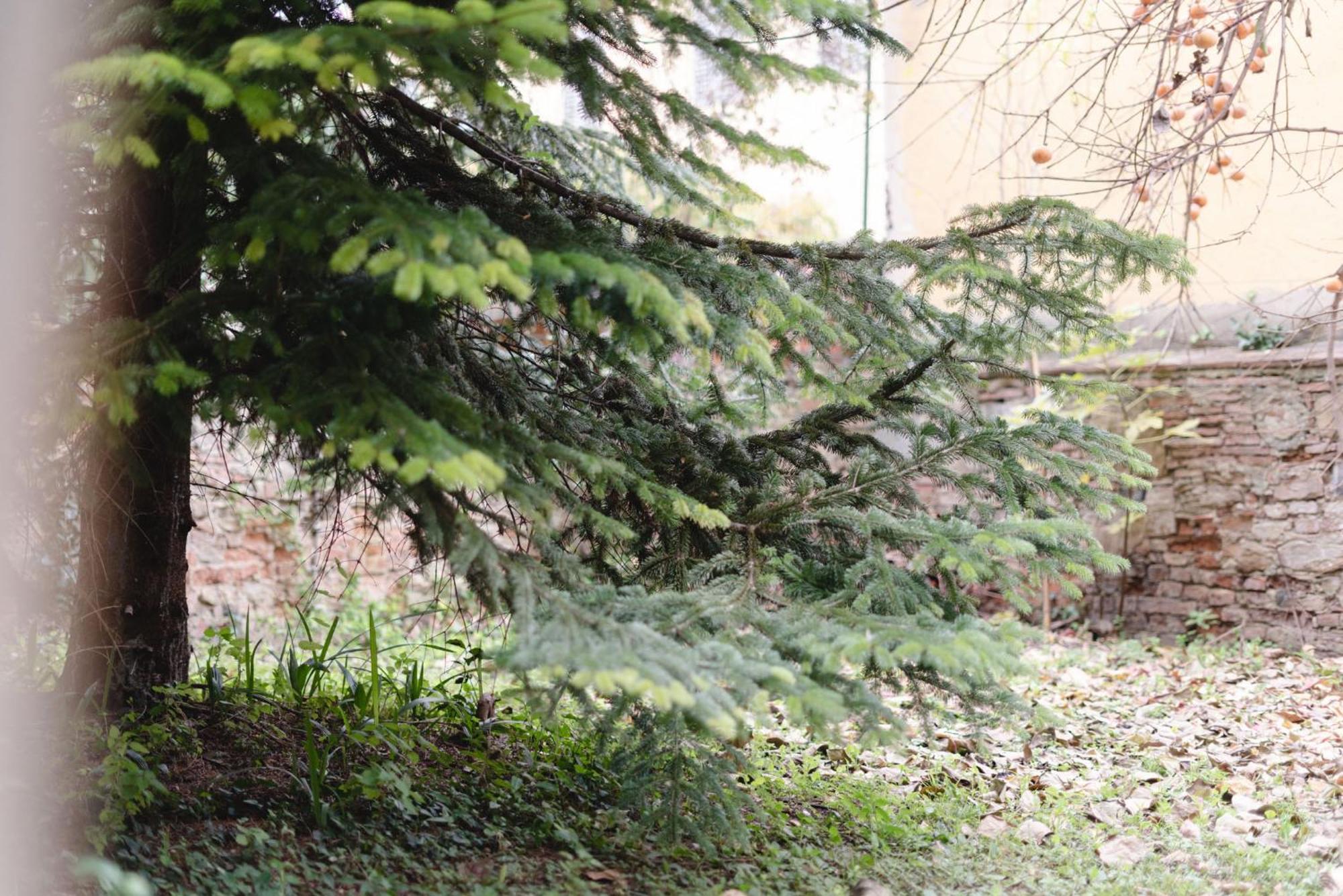 Appartamento Charming In The Heart Of Santo Spirito