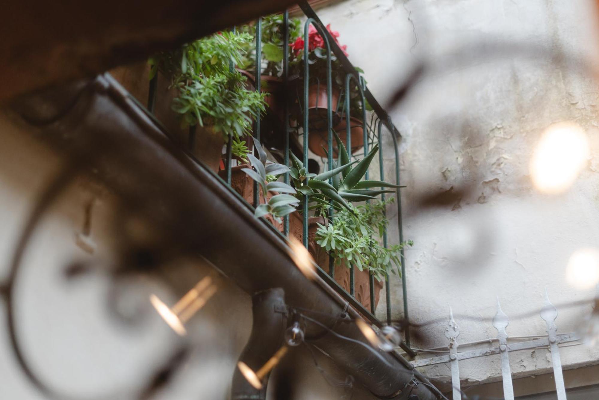 Charming In The Heart Of Santo Spirito Appartamento Firenze