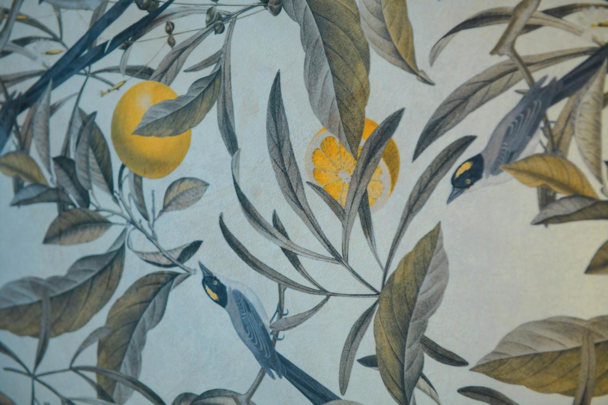 Magnolia *