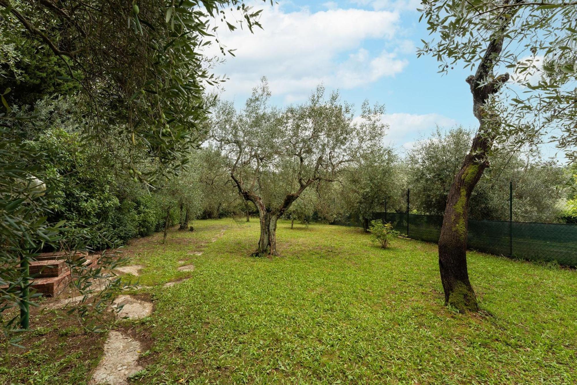 Via Bolognese, 238 - Emma - Il Tuo Soggiorno Immerso Nel Verde *