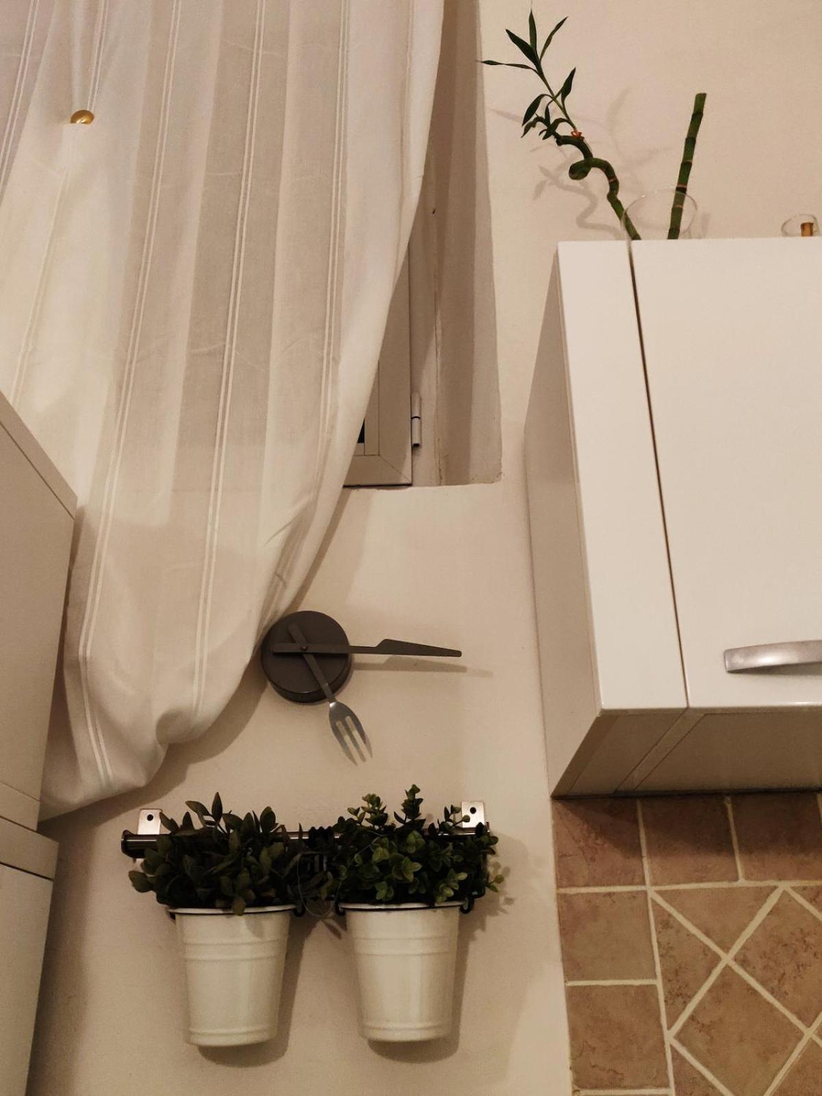 Relaxing Boboli Gardens - Apartment Florence
